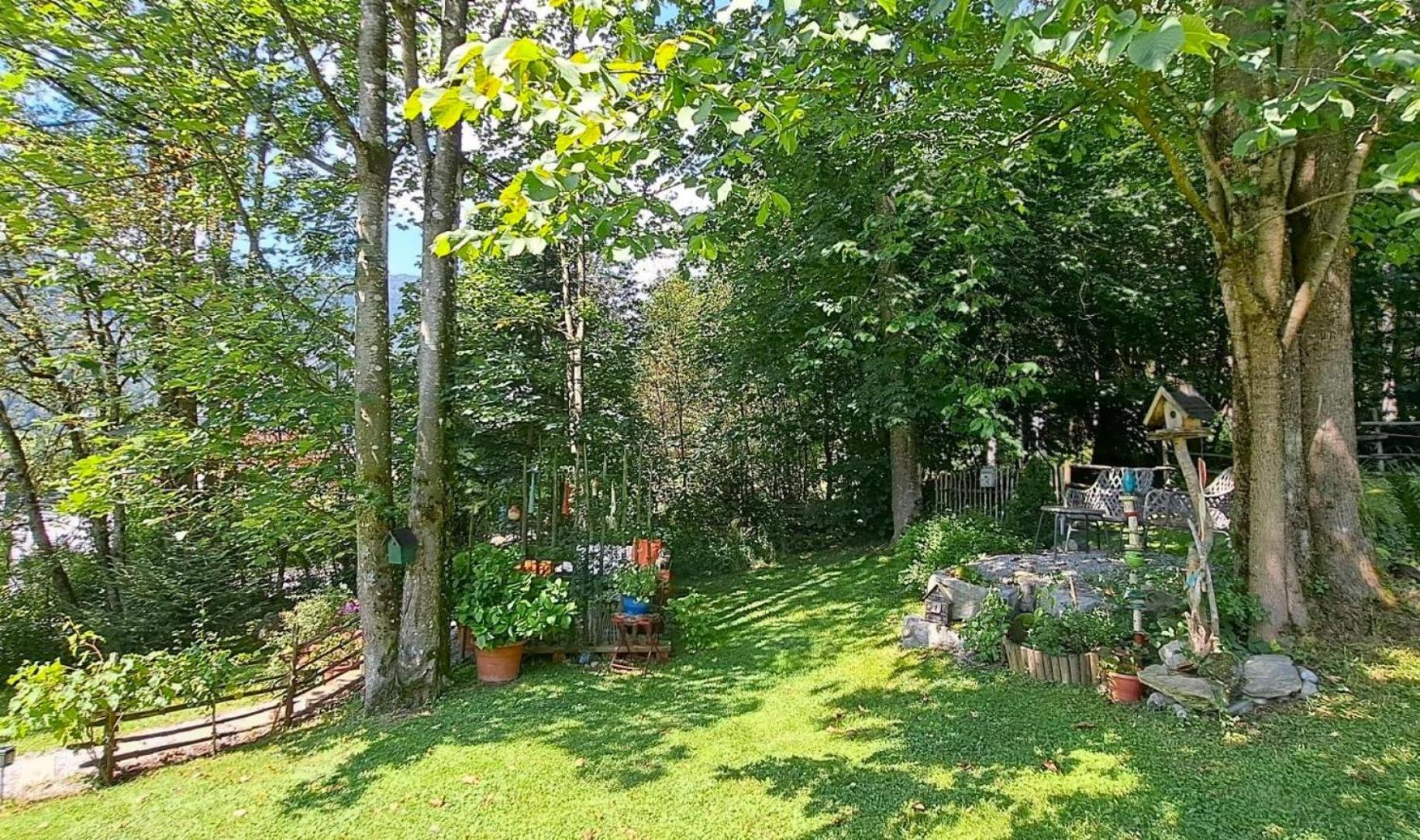 Ferienhaus Lechner Fuer Max 10 Personen - Wald Und Naturgarten アプテナウ エクステリア 写真