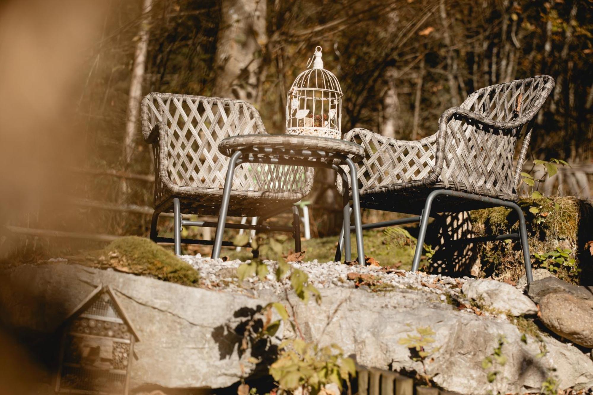 Ferienhaus Lechner Fuer Max 10 Personen - Wald Und Naturgarten アプテナウ エクステリア 写真